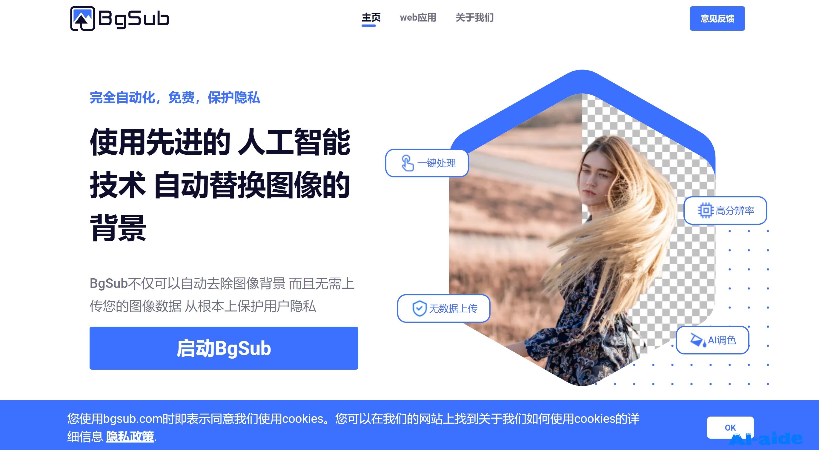 BgSub